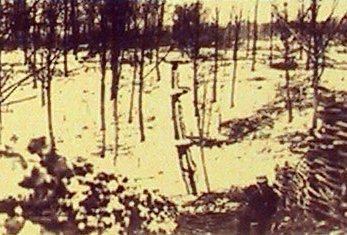 Février 1916. Positions françaises au Bois le Prêtre. (photo B.D.I.C.)